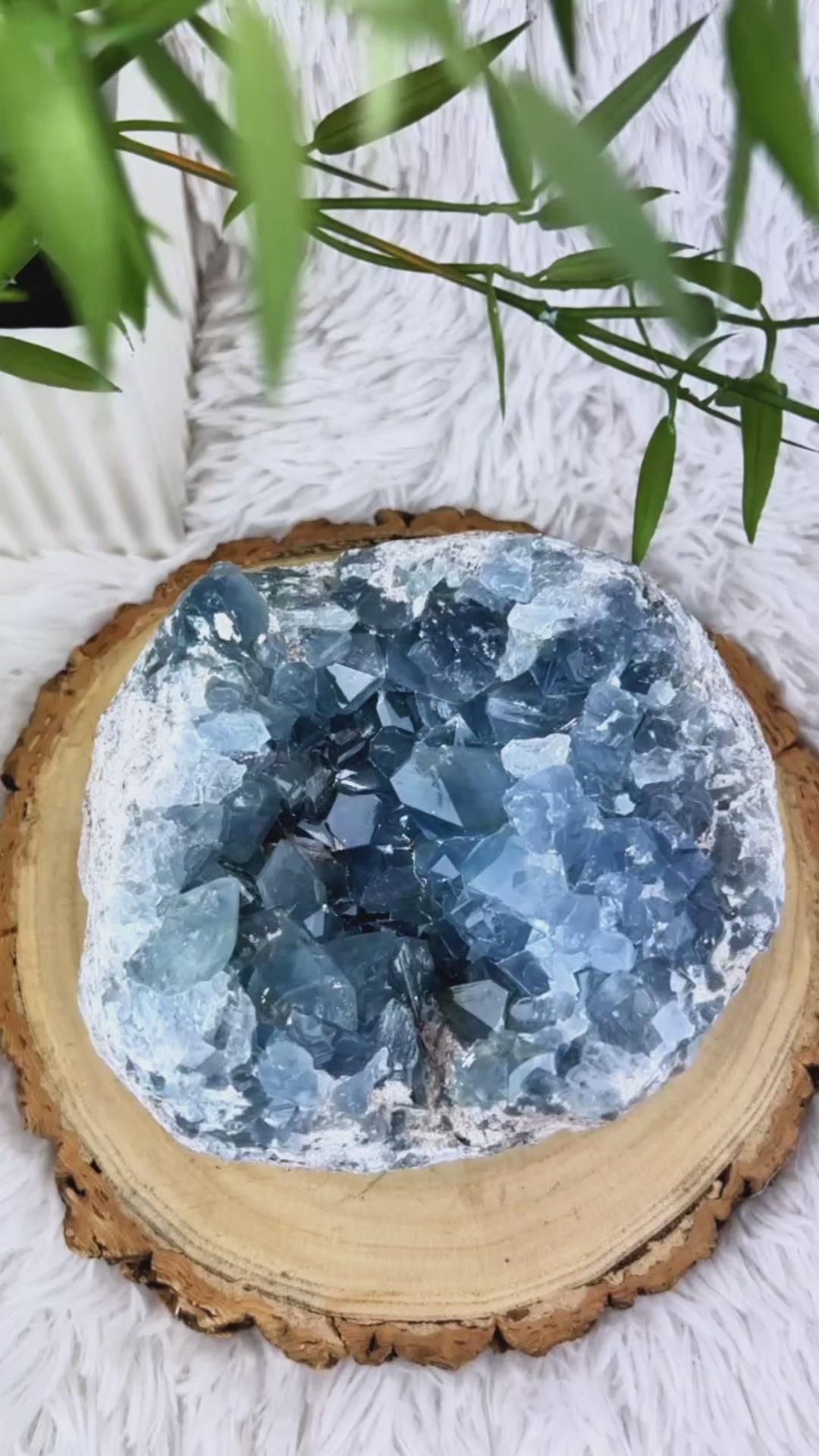 Coelestin Unikat 3,2 Kg