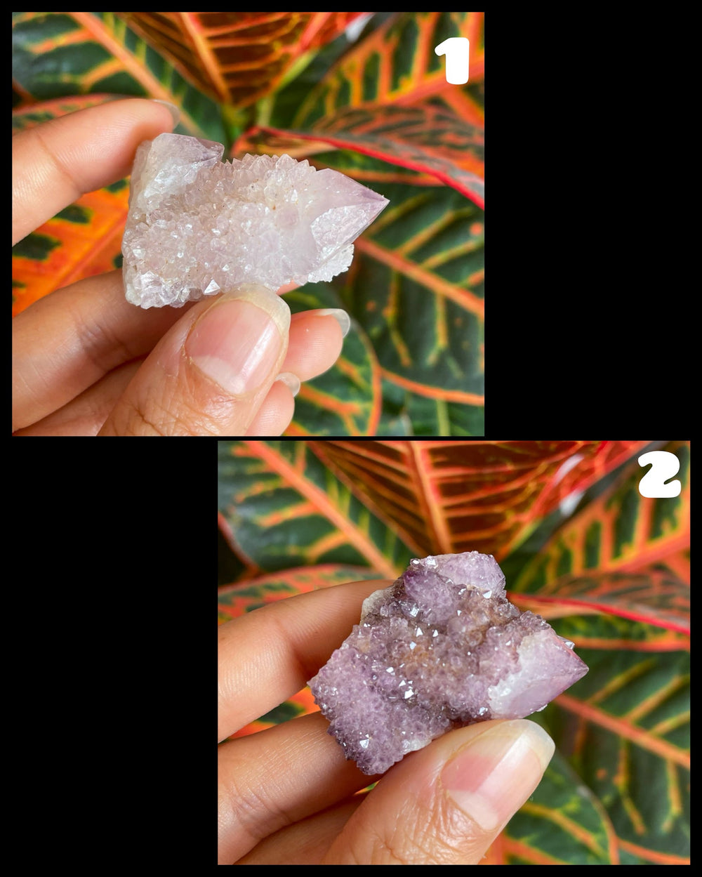 Spirit Quarz, Kaktus Quarz Kristalle - SoulGlow - Heilstein Unikat, Kristall, Liebe