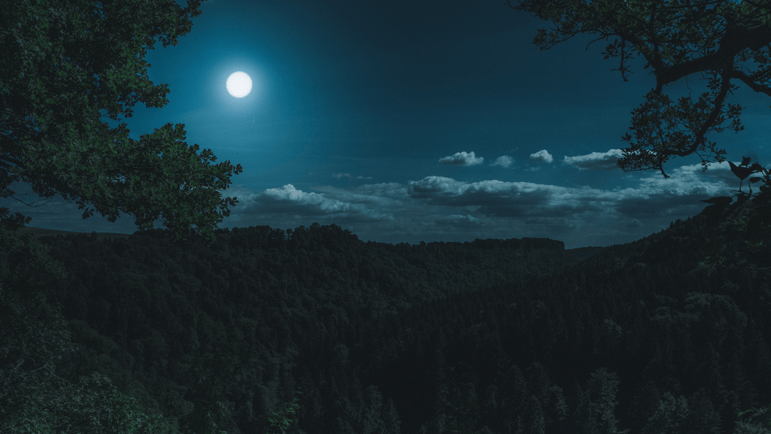 Vollmond in der Jungfrau 24. Februar 2024 - SoulGlow