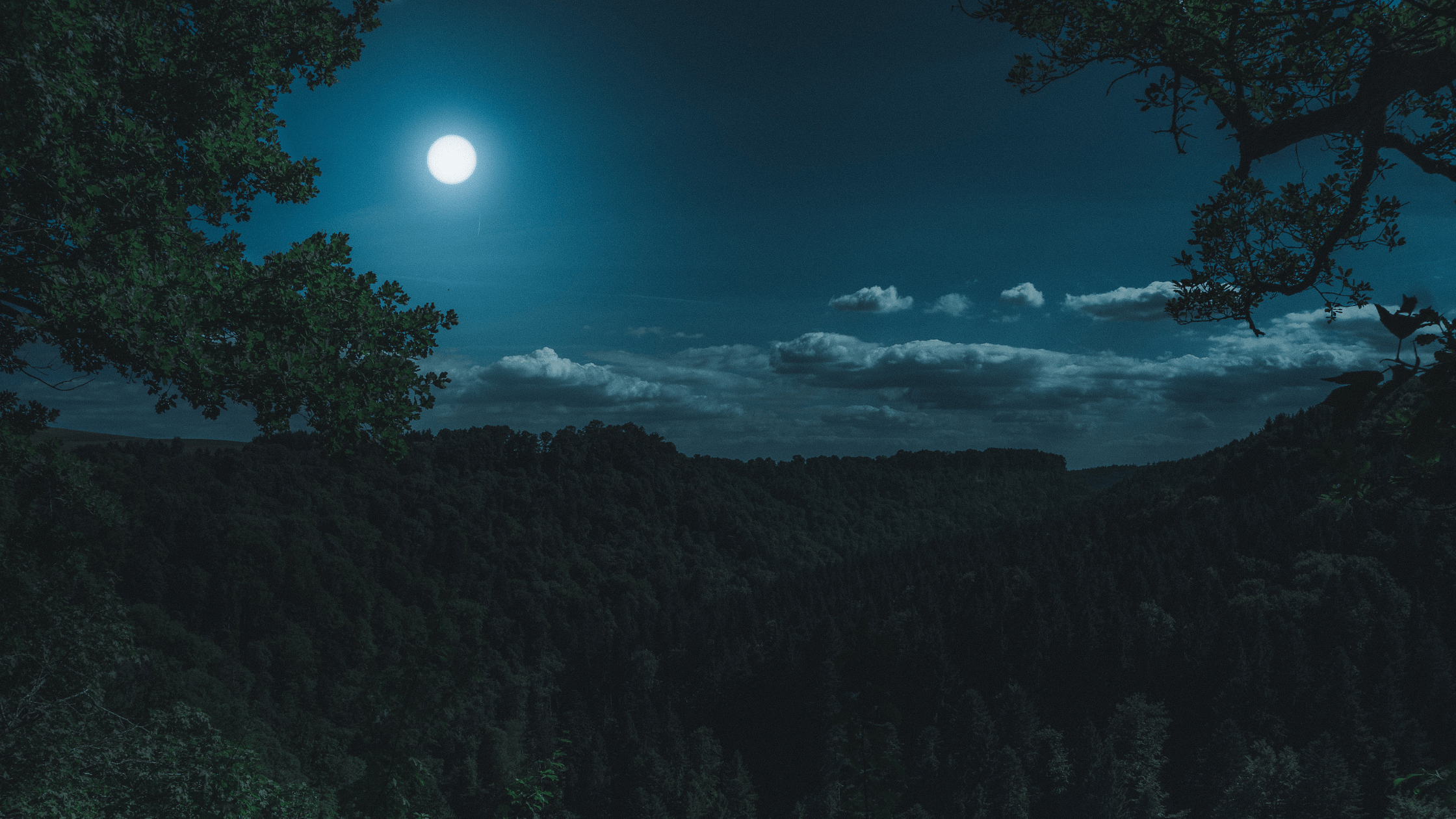 Vollmond in der Jungfrau 24. Februar 2024 - SoulGlow