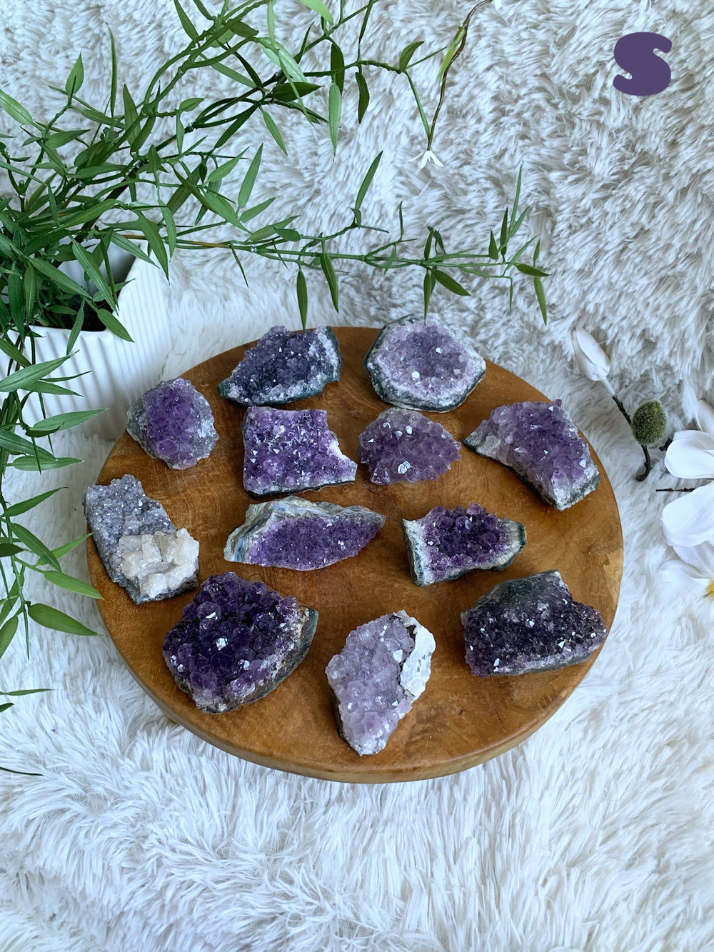 Amethyst Drusenstück S - XL - SoulGlow - Amethyst, Aufladung, balance