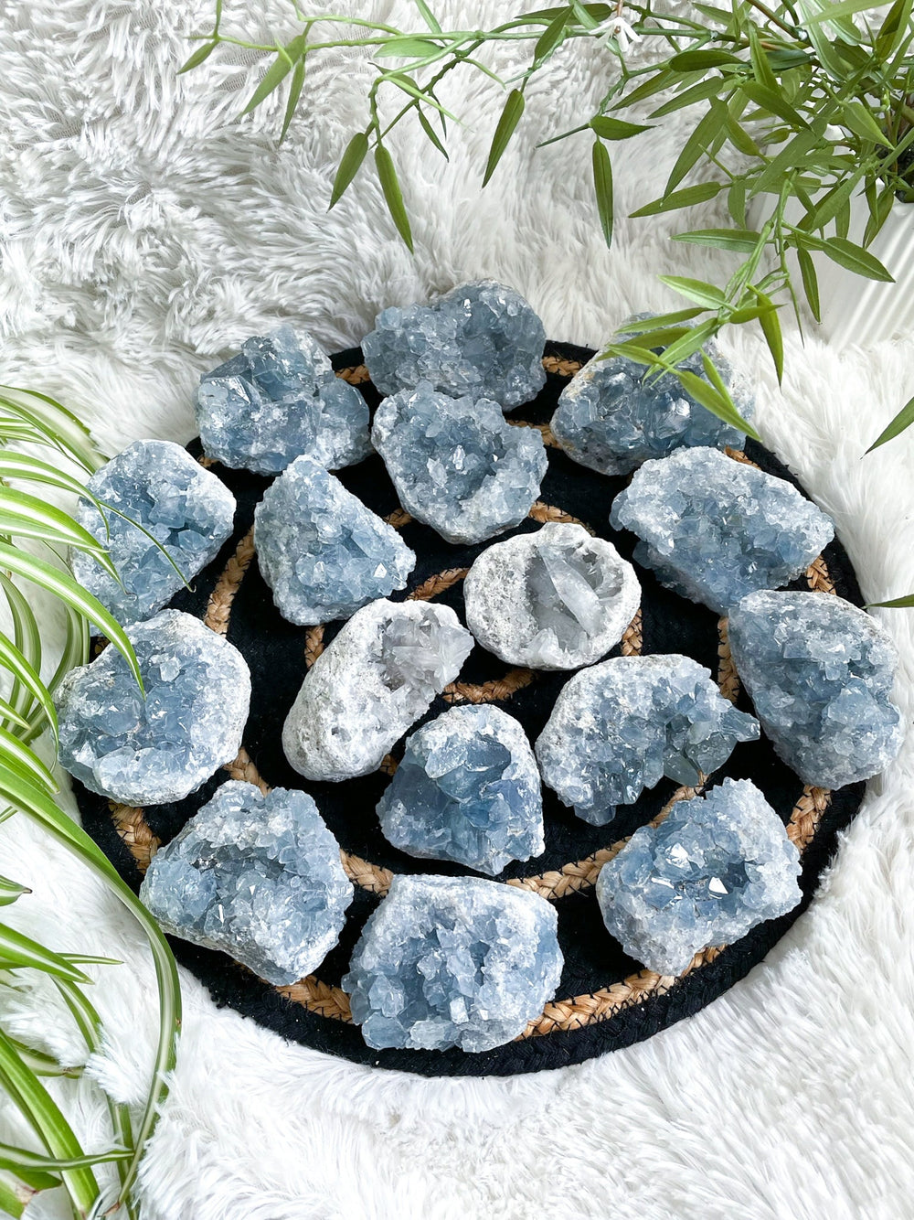 Coelestin Kristall Stufe - SoulGlow - balance, blau, Coelestin