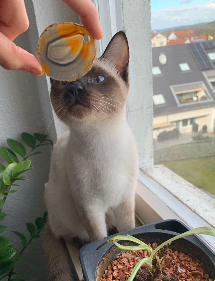 Natur Achat Scheibe Anhänger - SoulGlow - achat, Anhänger, balance