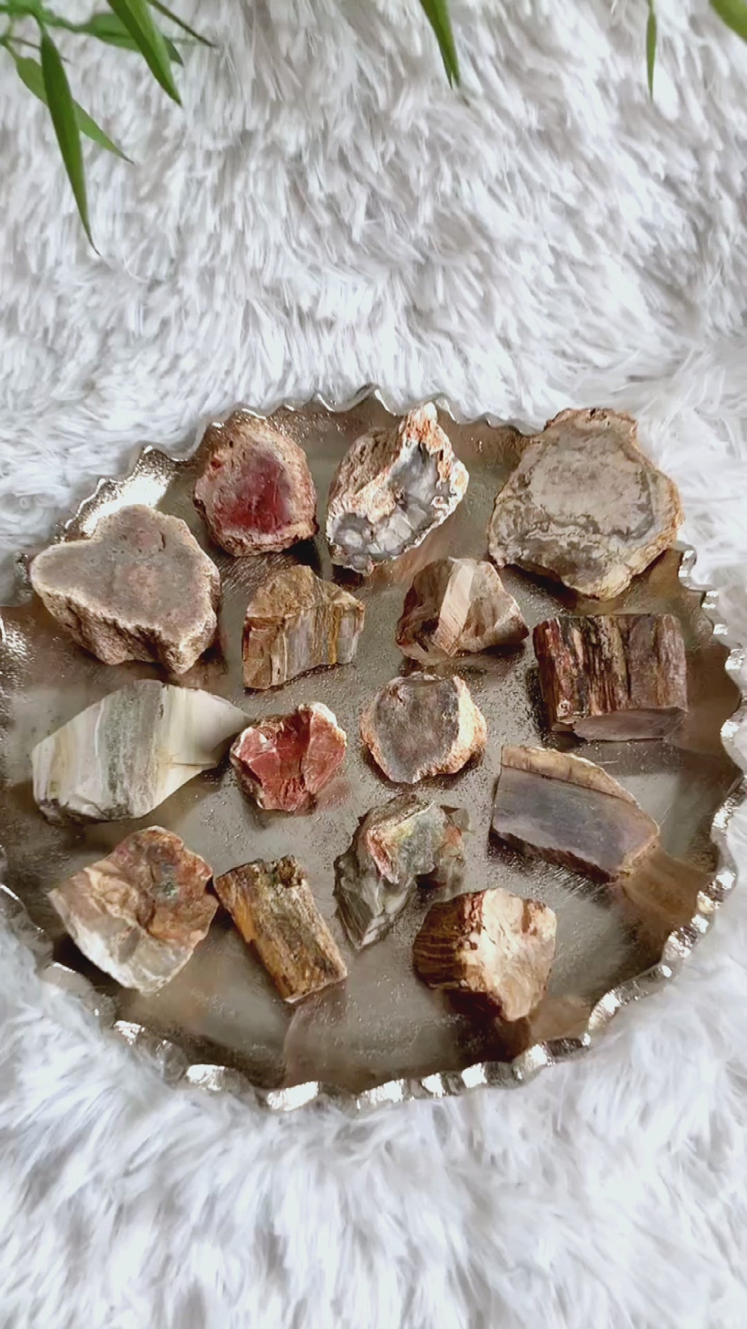 Das Versteinerte Holz in seinen unterschiedlichen Farbtönen und Formen hier im Video Beispiel.