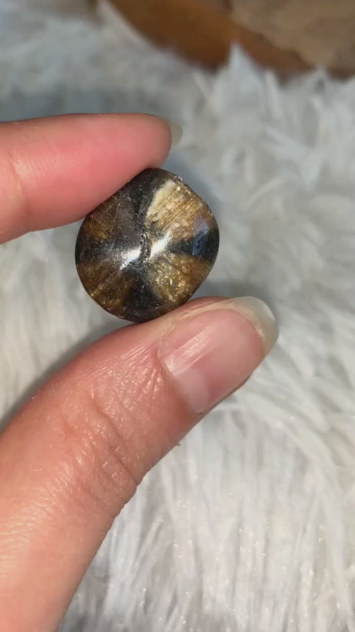 Chiastolith Scheibensteine