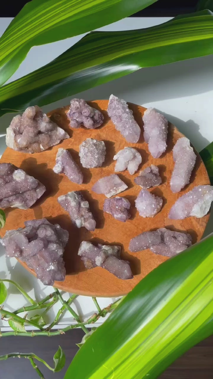 Spirit Quarz, Kaktus Quarz Kristalle