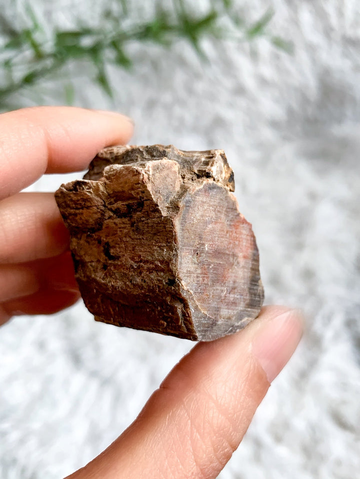 Versteinertes Holz Rohstein - SoulGlow - balance, braun, Kristall