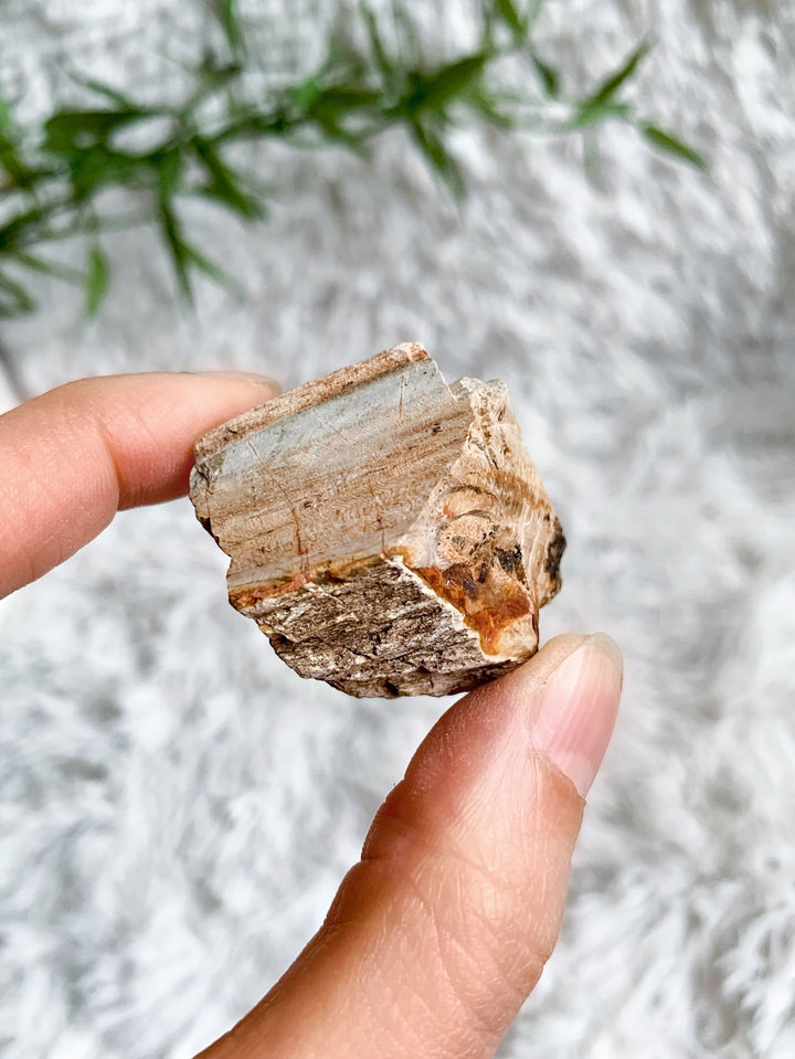 Versteinertes Holz Rohstein - SoulGlow - balance, braun, Kristall
