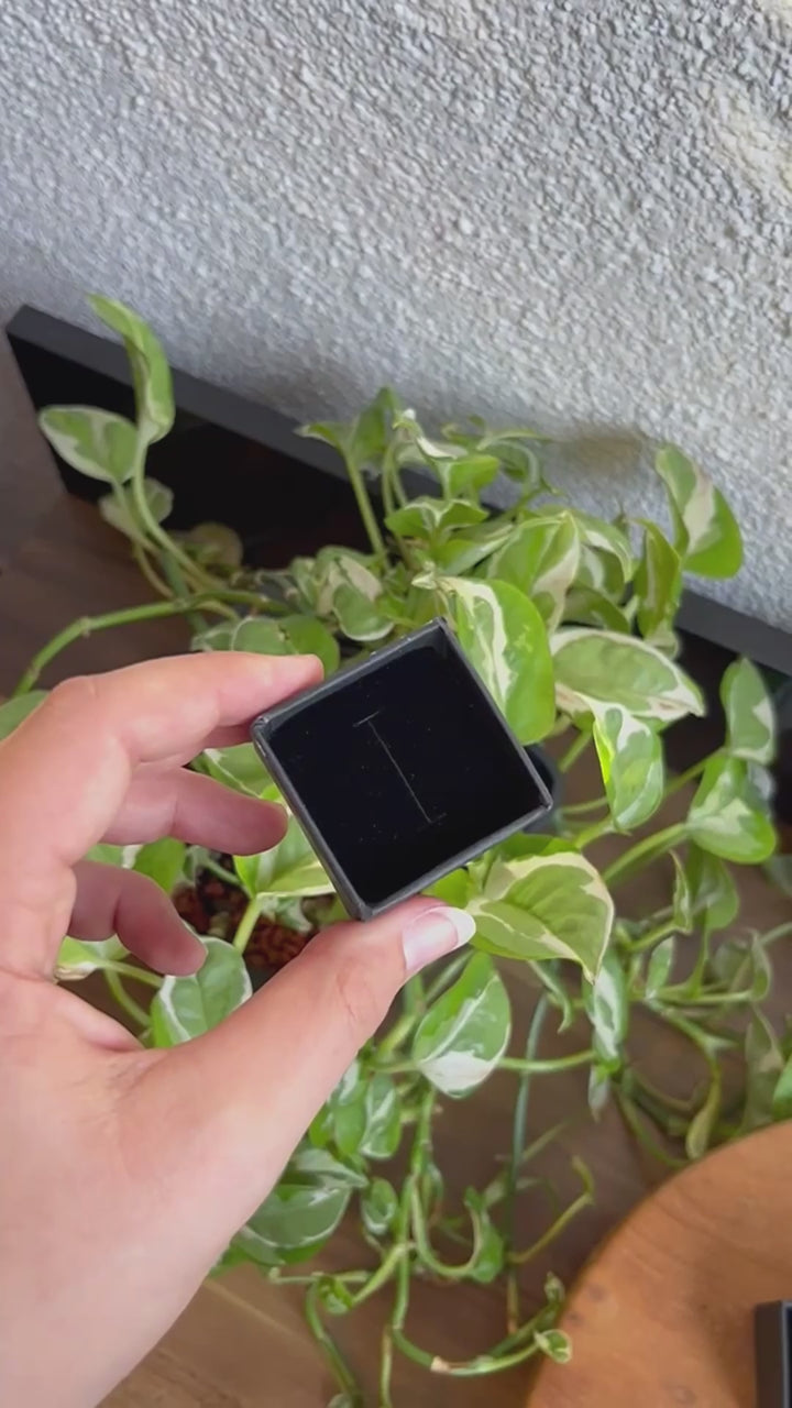 Geschenkbox, Schmuckschachtel für Ringe/Ohrstecker